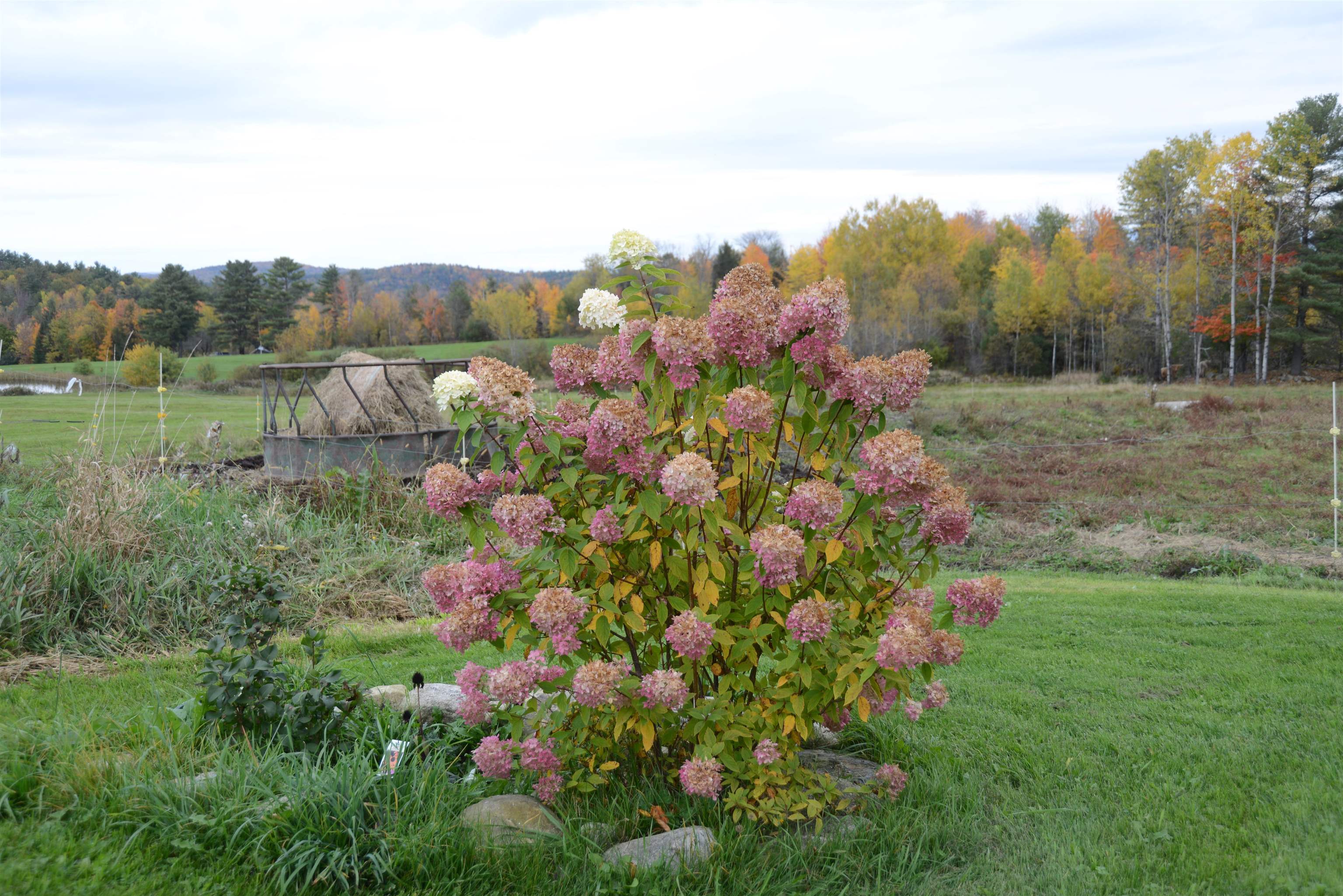 1812 N Road Newbury, VT 05051 - Photo 21 of 39 Gallery Image 21