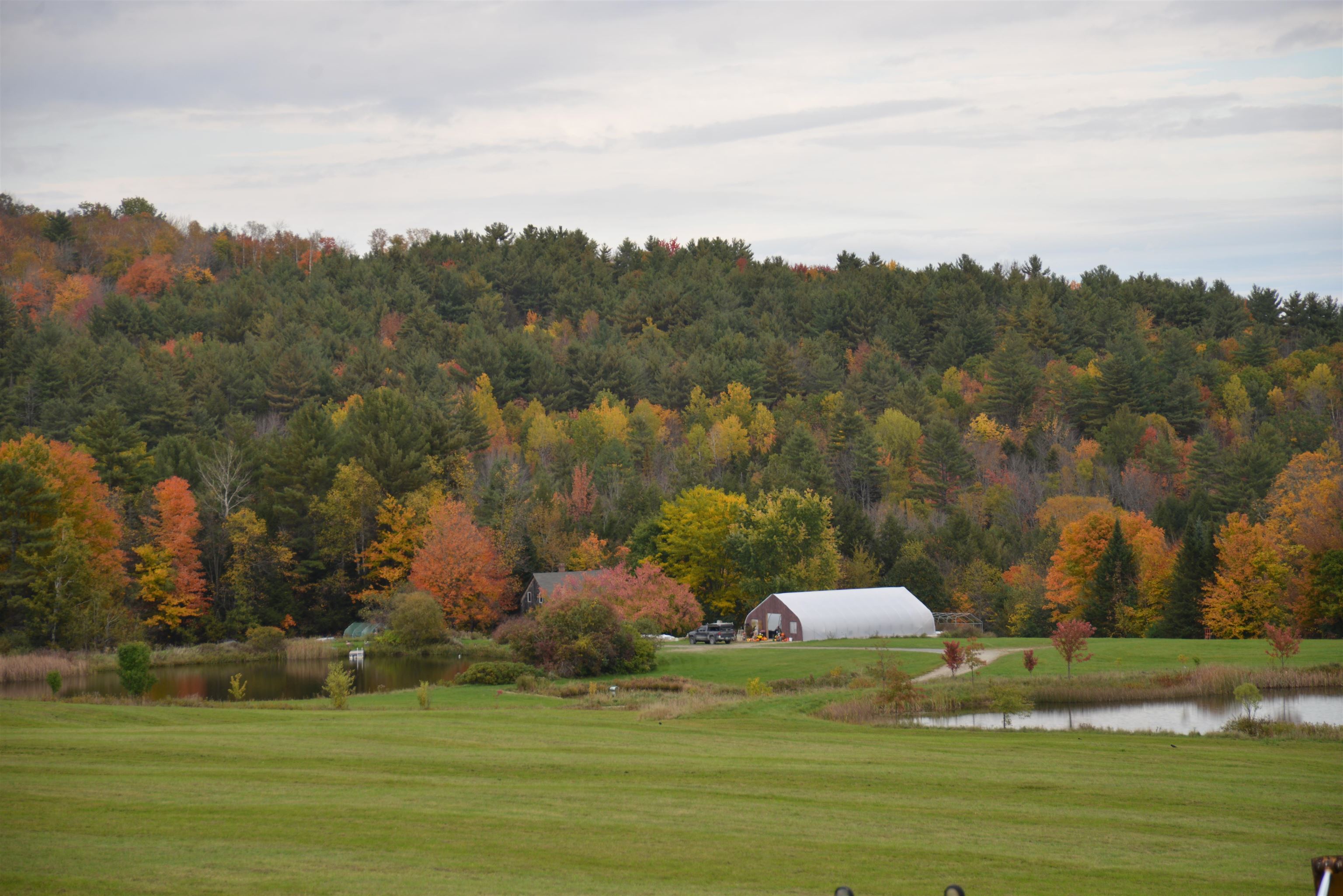 1812 N Road Newbury, VT 05051 - Photo 29 of 39 Gallery Image 29