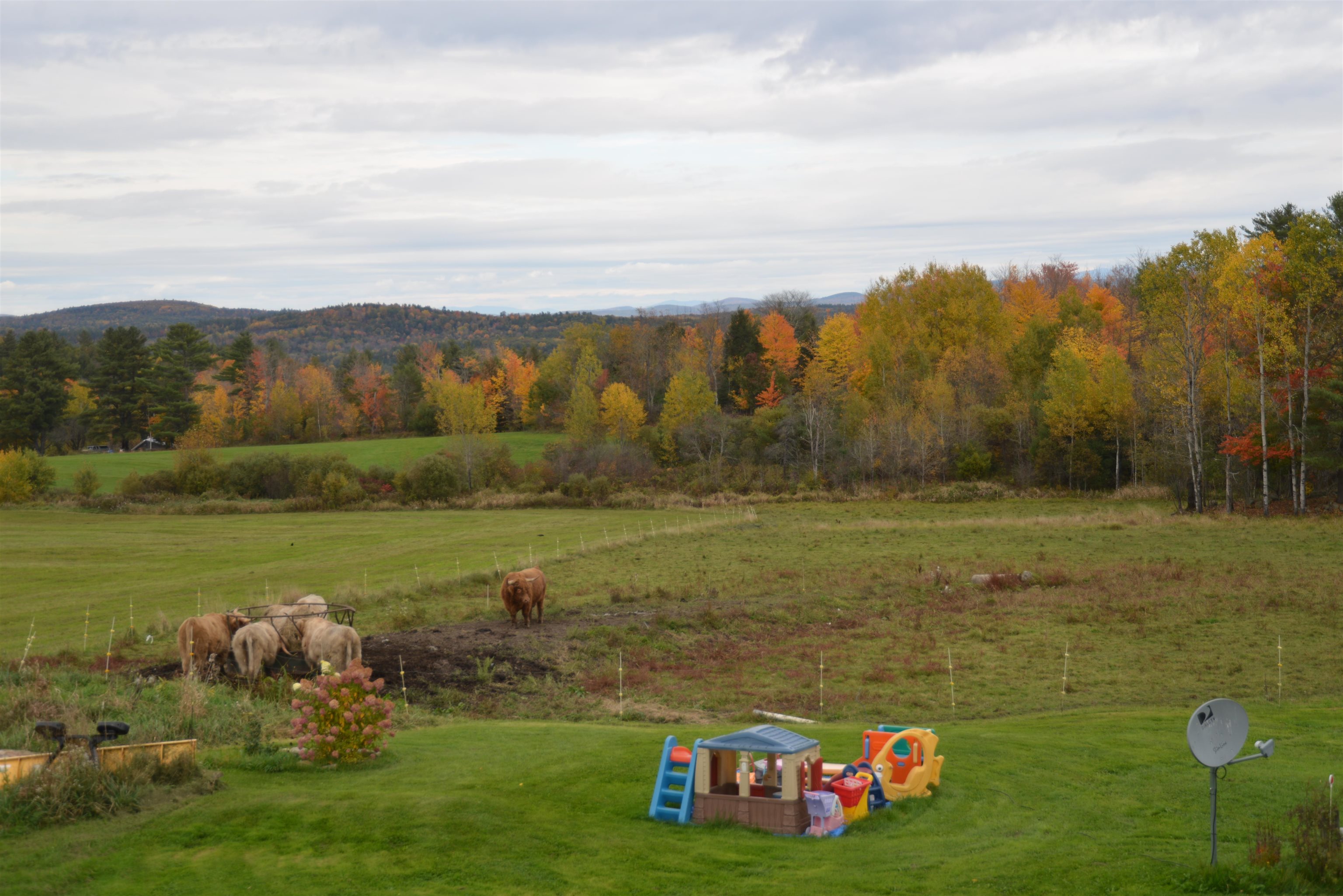 1812 N Road Newbury, VT 05051 - Photo 31 of 39 Gallery Image 31