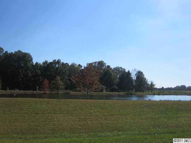 0 Chaney Road Monroe, NC 28110 - Photo 2 of 3 a view of a field with trees in background