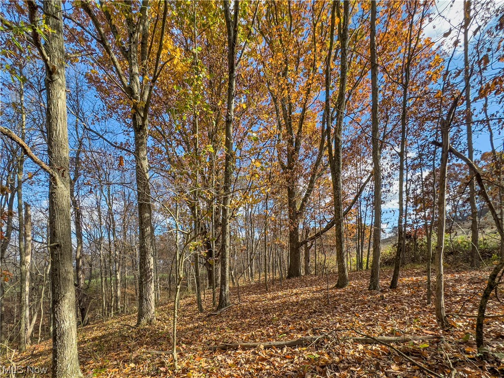 Windy Ridge Road New Concord, OH 43762 - Photo 20 of 34 Gallery Image 20