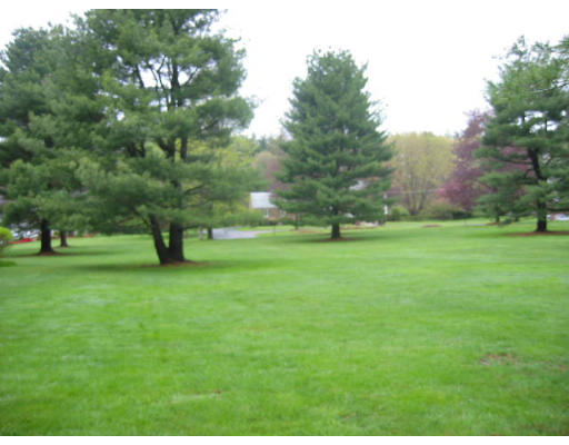 120 Oxbow Road Needham, MA 02492 - Photo 11 of 11 Gallery Image 11