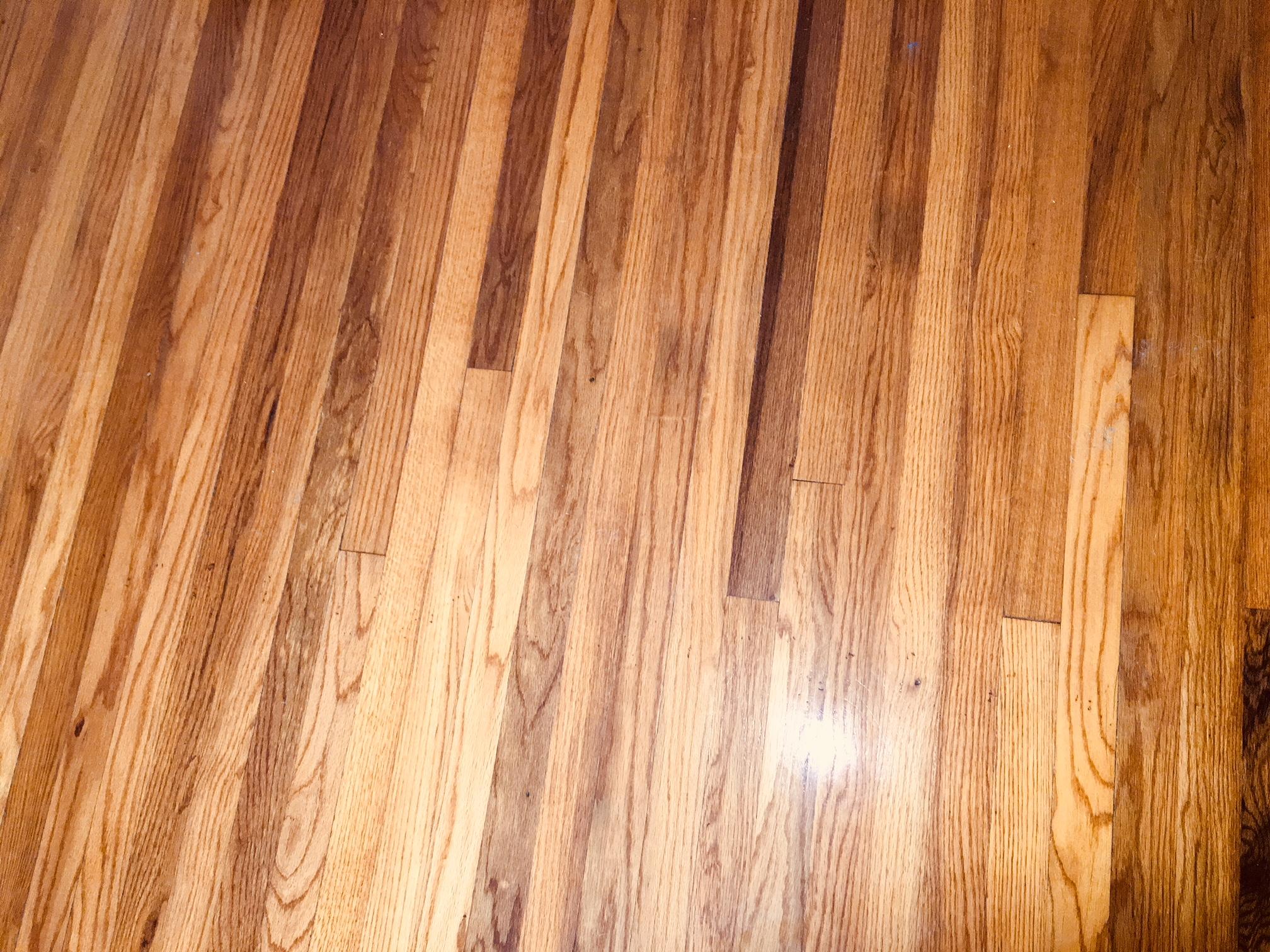15 Beverly Road Charleston, SC 29407 - Photo 38 of 46 Hardwood Floors Downstairs