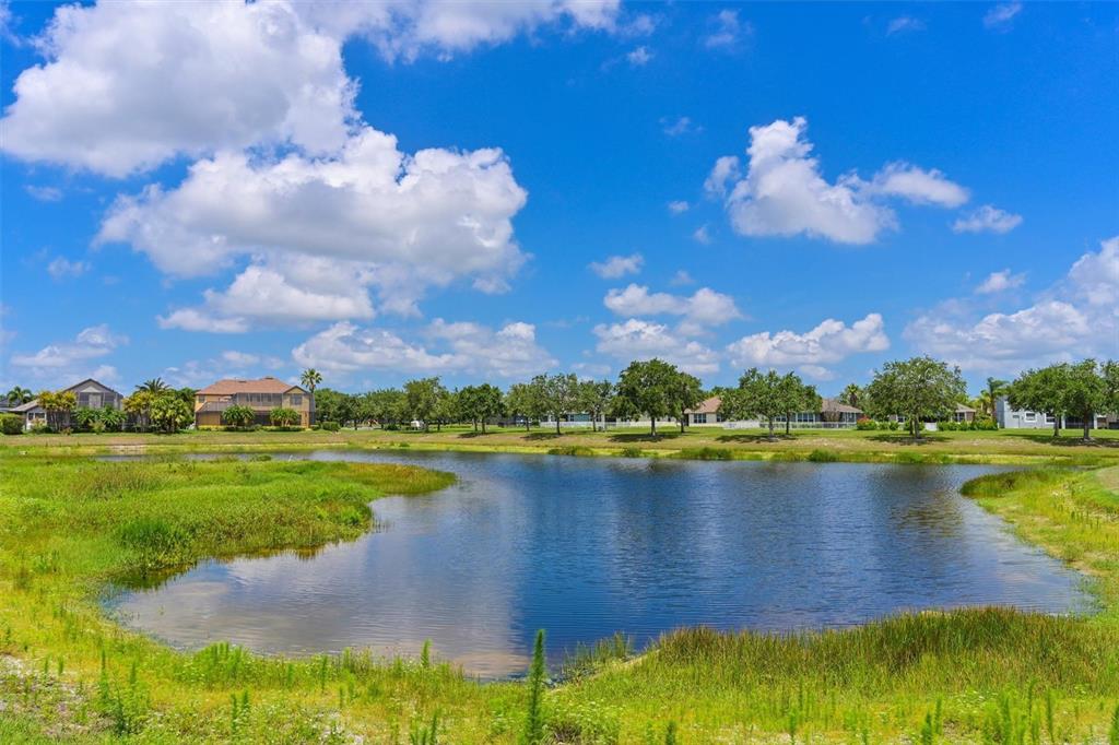 12644 20th Street East Parrish, FL 34219 - Photo 40 of 49