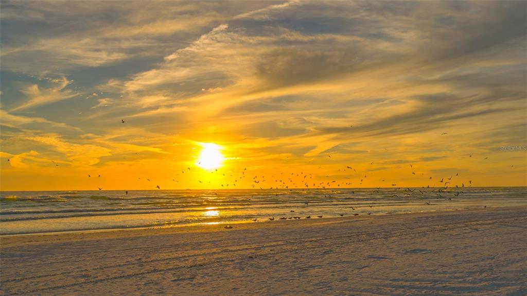 1308 Old Stickney Point Road, Unit WP3 Sarasota, FL 34242 - Photo 52 of 61