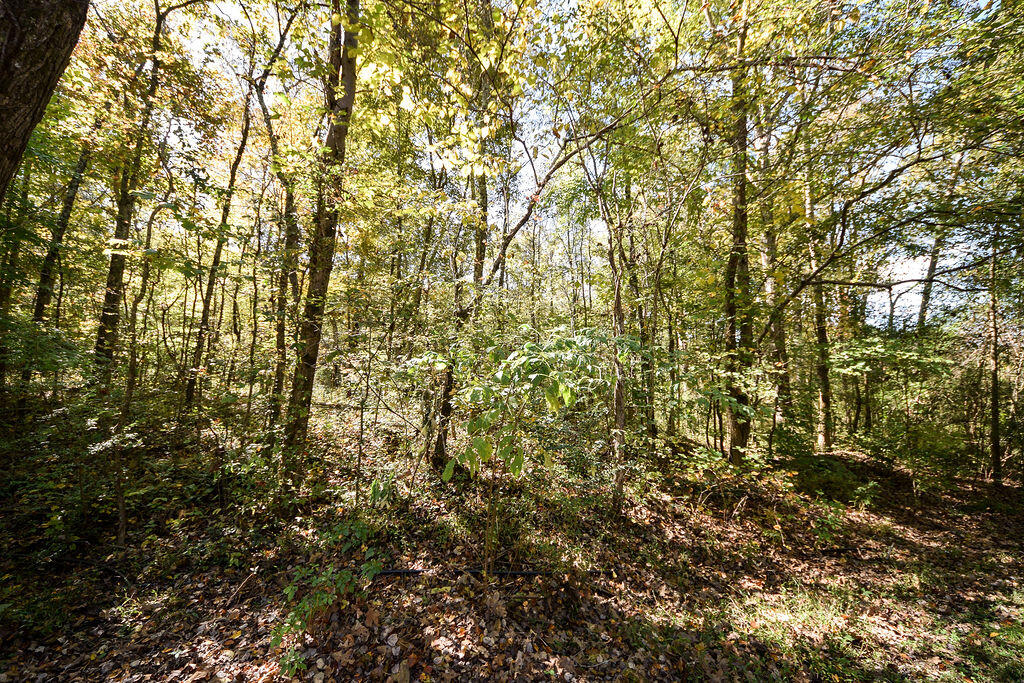 405 Horton Road Southeast Cleveland, TN 37323 - Photo 48 of 64 DSC_9517