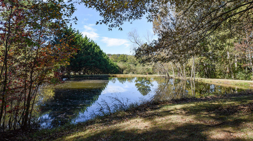 405 Horton Road Southeast Cleveland, TN 37323 - Photo 8 of 64 DSC_9580