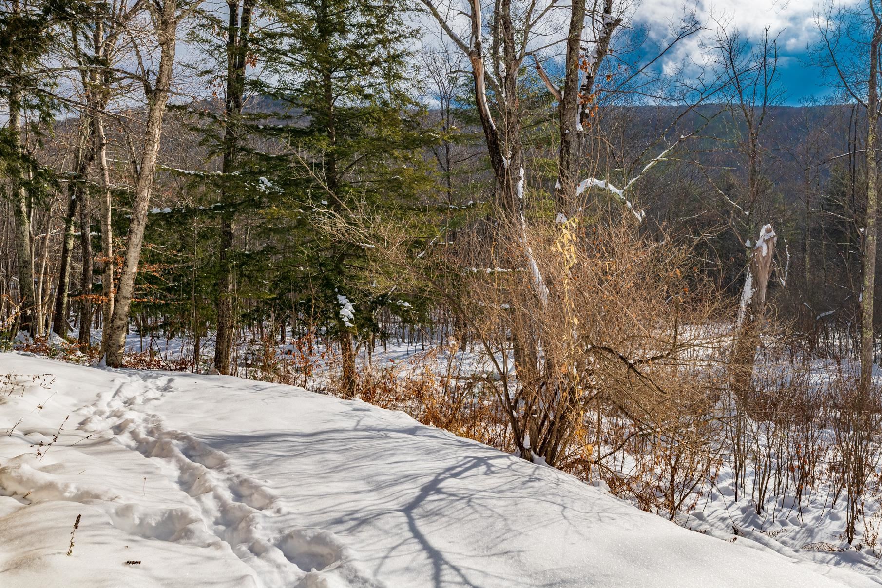 354 New Ireland Road Manchester, VT 05255 - Photo 25 of 28