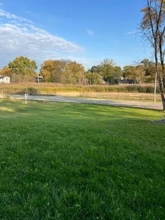 a view of yard with large trees
