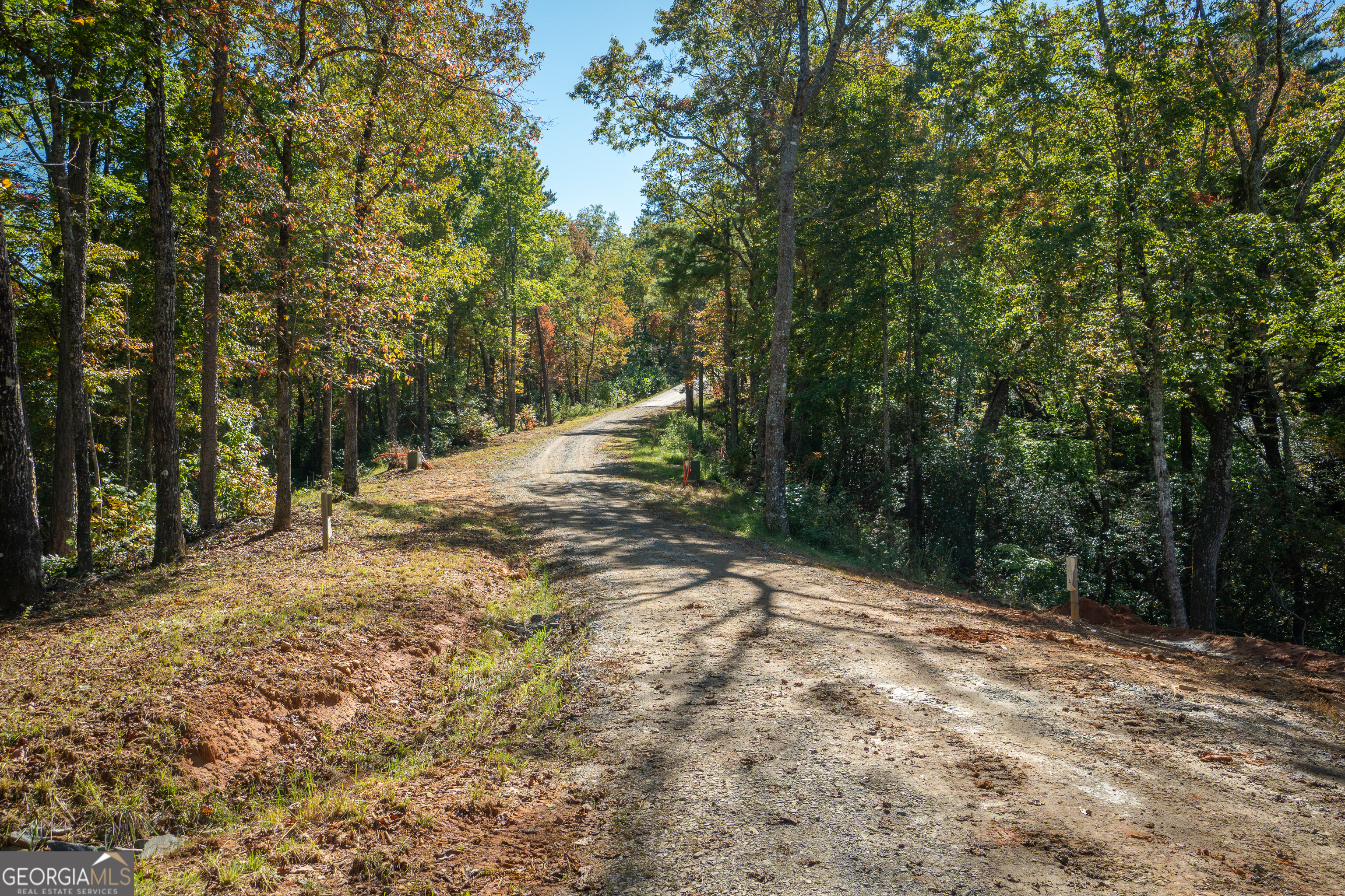 0 Ivy Rdg Way Clarkesville, GA 30523 - Photo 6 of 23