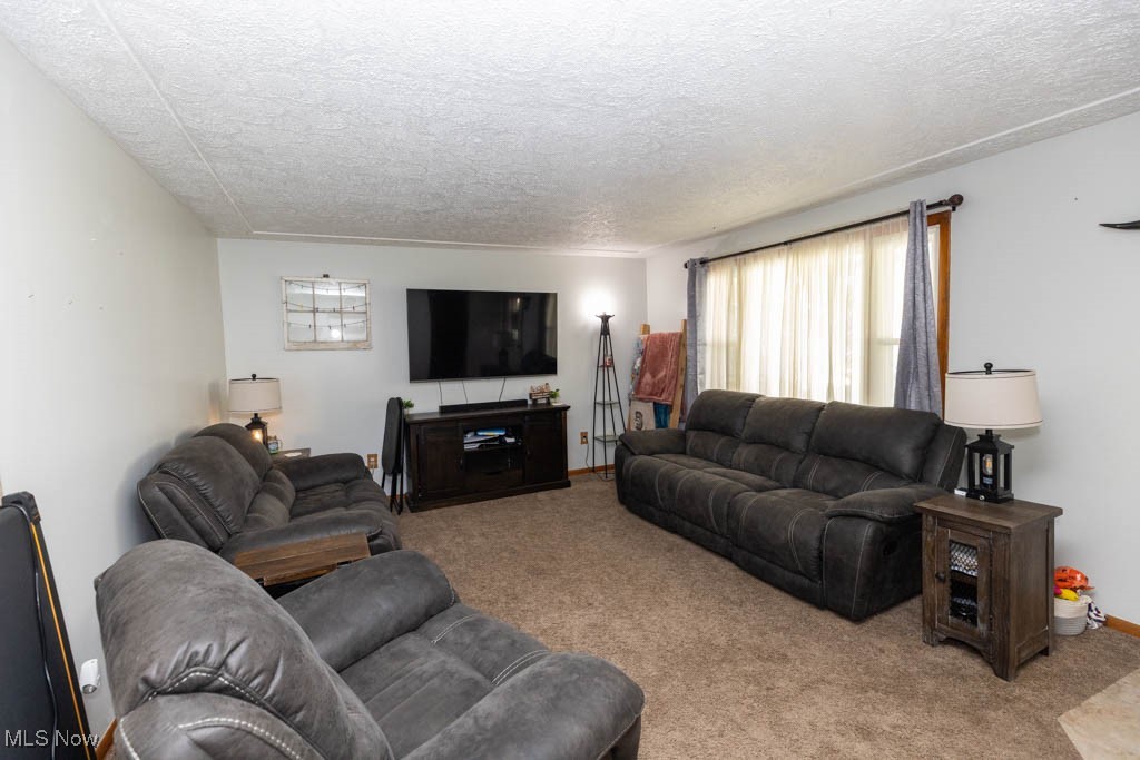 Living room with carpet floors and a textured ceiling