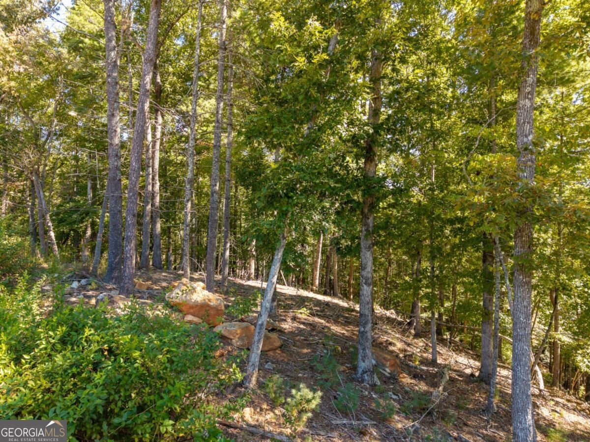 Lot 62 Ridge Drive, Unit 62 Morganton, GA 30560 - Photo 5 of 17 Gallery Image 5