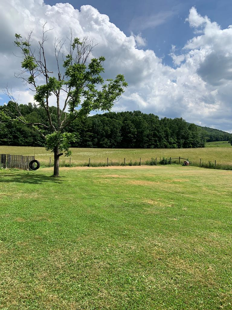 2303 Dry Road Speedwell, VA 24374 - Photo 43 of 49 Gallery Image 43