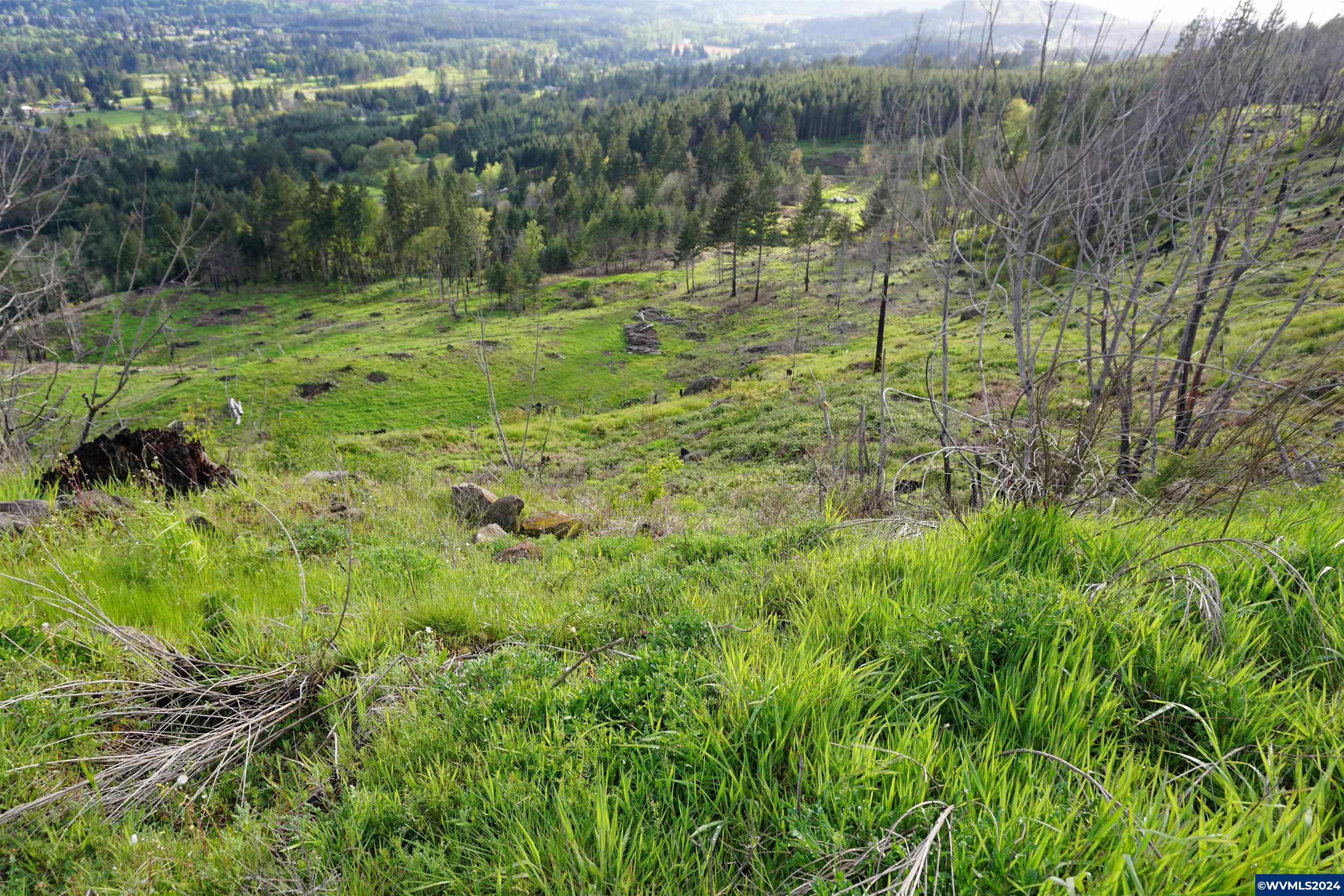 900 Wagner Road Lyons, OR 97358 - Photo 12 of 30
