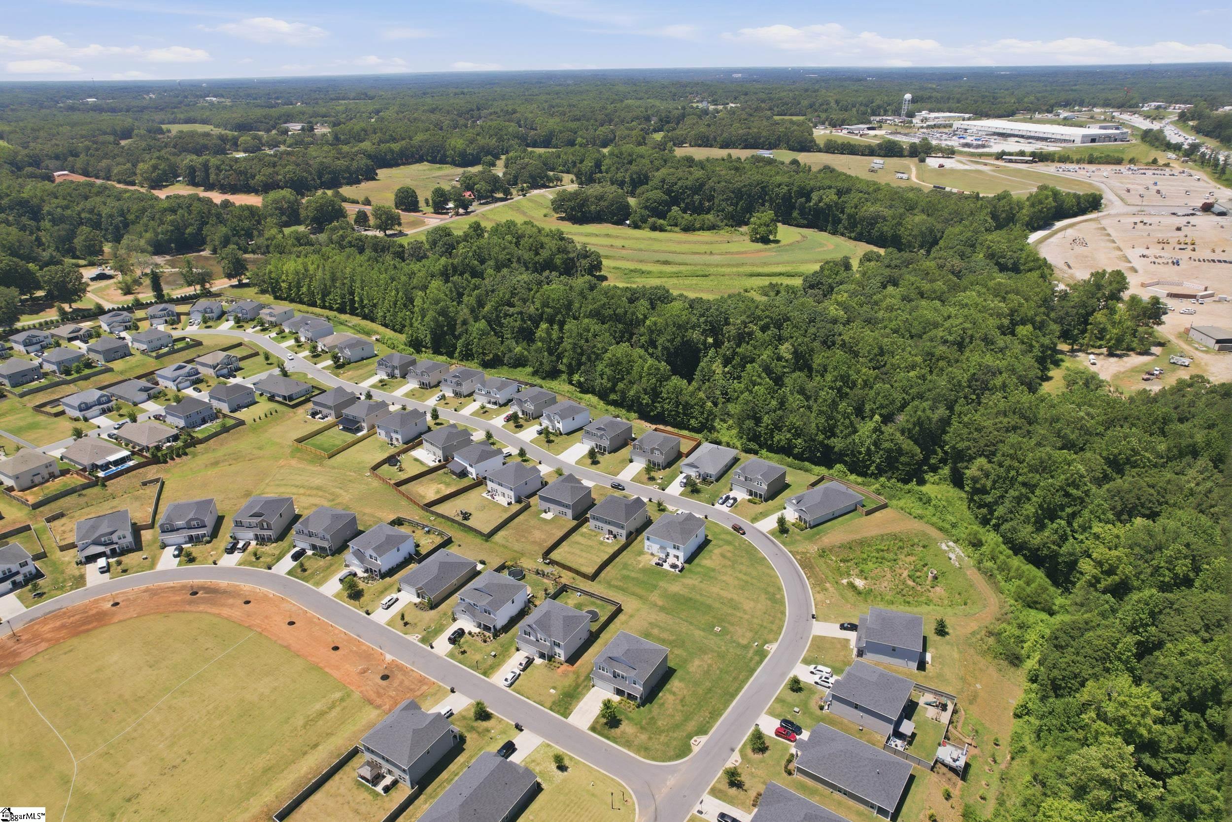 190 Walking Stick Way Pelzer, SC 29669 - Photo 44 of 47