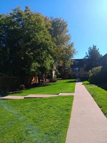 a view of a park with large trees