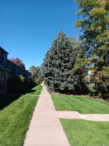 a view of a park with large trees
