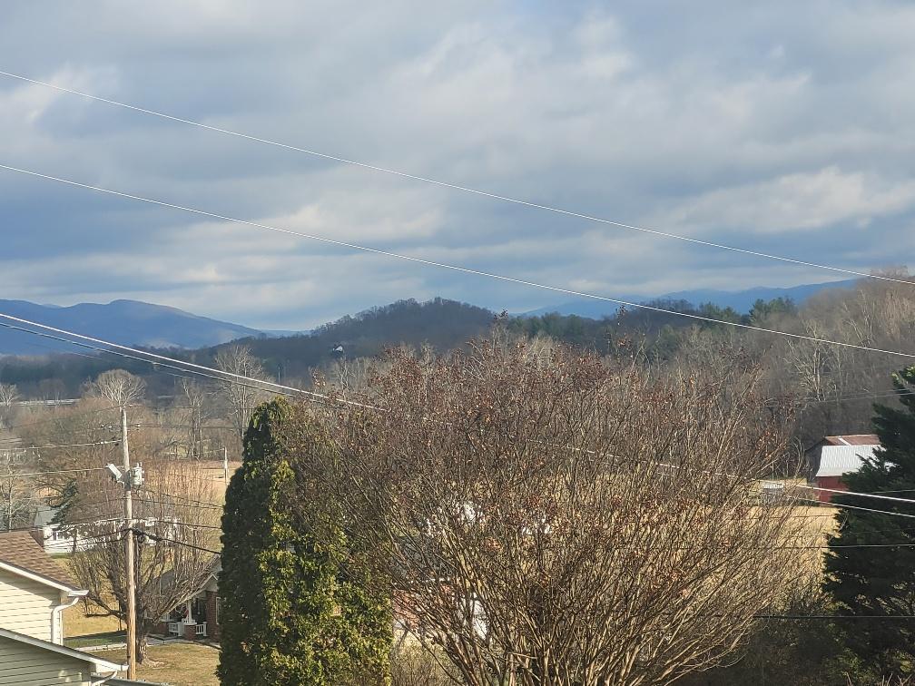 110 Colt Lane, Unit 4 Johnson City, TN 37601 - Photo 14 of 14 COLT VIEW OF MOUNAINS