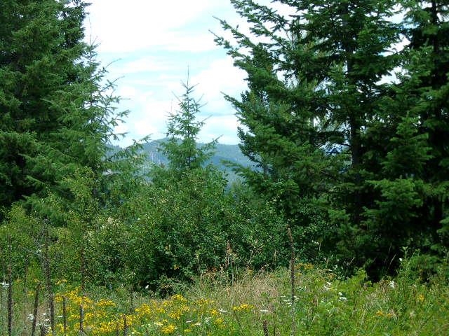 Xoxx Hoag Road Chewelah, WA 99109 - Photo 13 of 27 Gallery Image 13