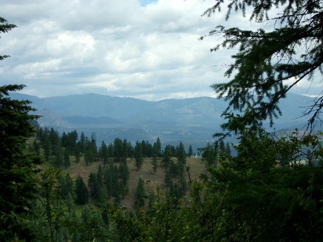 Xoxx Hoag Road Chewelah, WA 99109 - Photo 15 of 27 Gallery Image 15