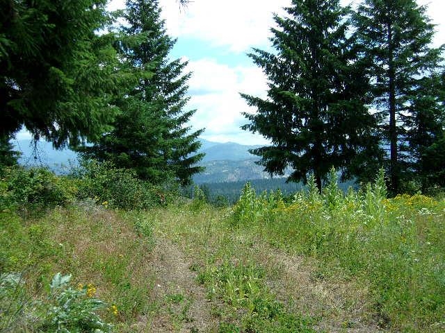 Xoxx Hoag Road Chewelah, WA 99109 - Photo 22 of 27 Gallery Image 22