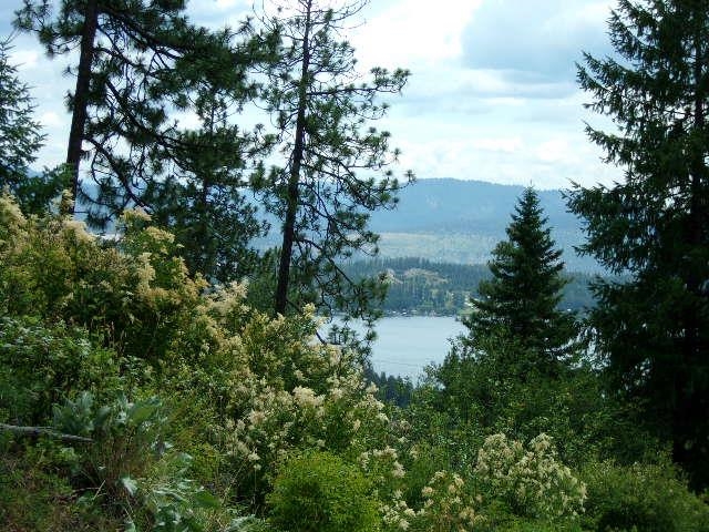 Xoxx Hoag Road Chewelah, WA 99109 - Photo 23 of 27 Gallery Image 23