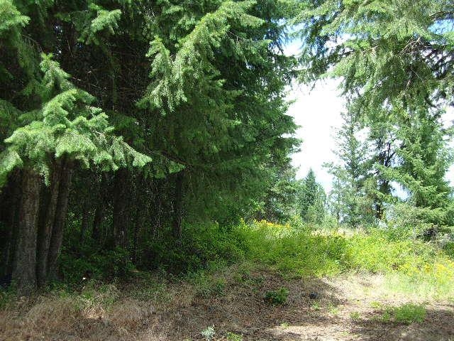 Xoxx Hoag Road Chewelah, WA 99109 - Photo 26 of 27 Gallery Image 26