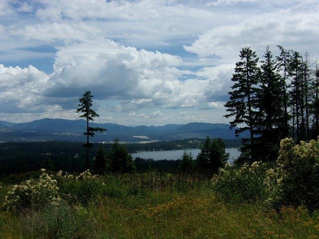Xoxx Hoag Road Chewelah, WA 99109 - Photo 5 of 27 Gallery Image 5