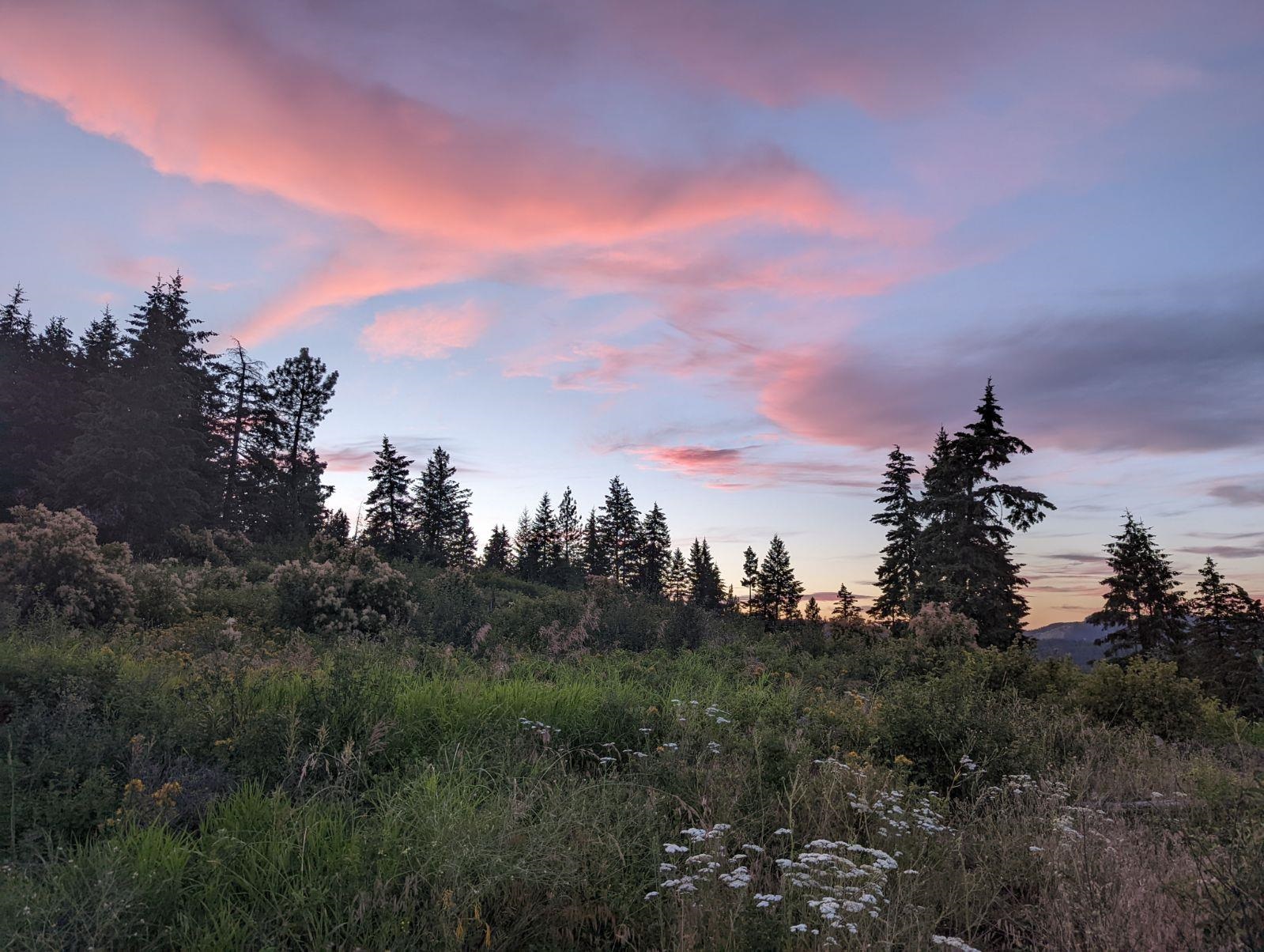 Xoxx Hoag Road Chewelah, WA 99109 - Photo 7 of 27 Gallery Image 7
