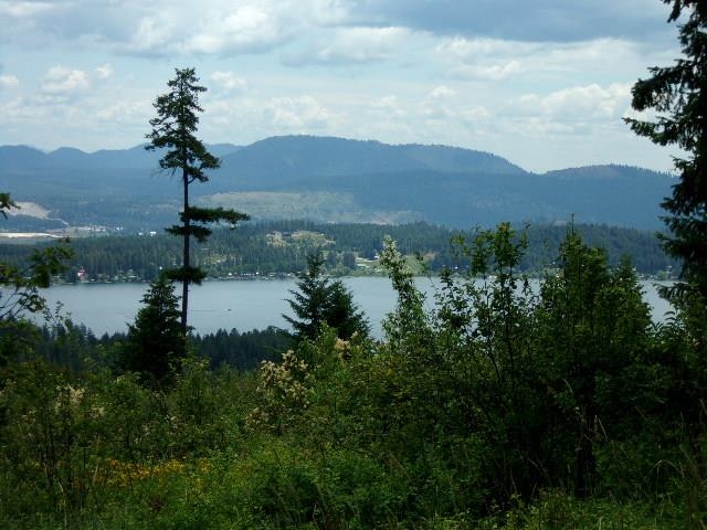 Xoxx Hoag Road Chewelah, WA 99109 - Photo 8 of 27 Gallery Image 8
