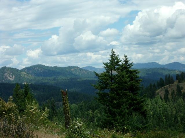 Xoxx Hoag Road Chewelah, WA 99109 - Photo 9 of 27 Gallery Image 9