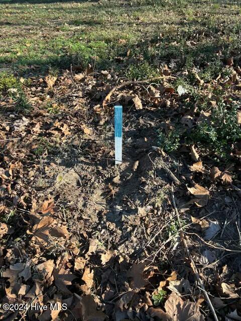 249 Ottis Miller Road Beulaville, NC 28518 - Photo 9 of 18 tempImageqyVIGz