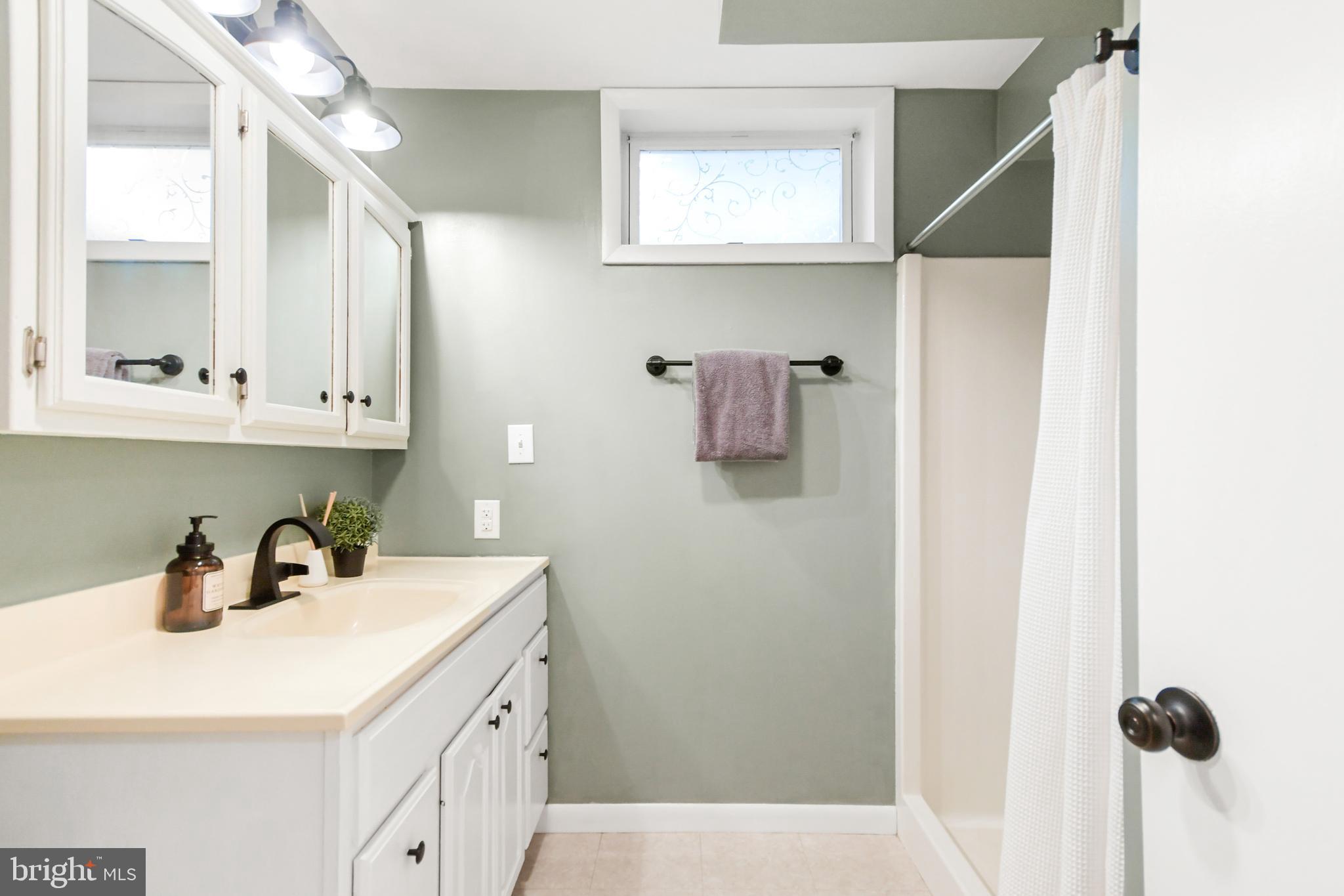 4220 Spring View Court Jefferson, MD 21755 - Photo 47 of 79 Lower Level Bath