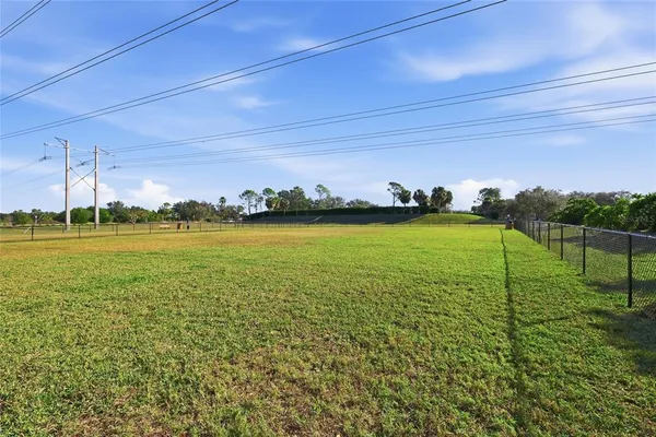 a view of a park with large trees