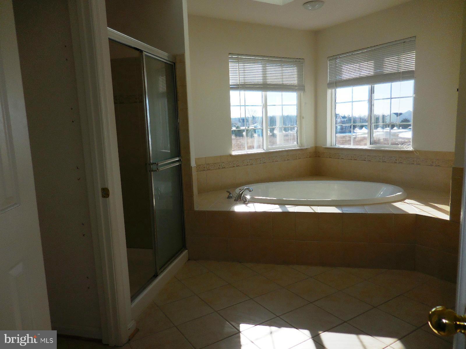 236 Union Church Road Chestertown, MD 21620 - Photo 14 of 21 Bath (Master)