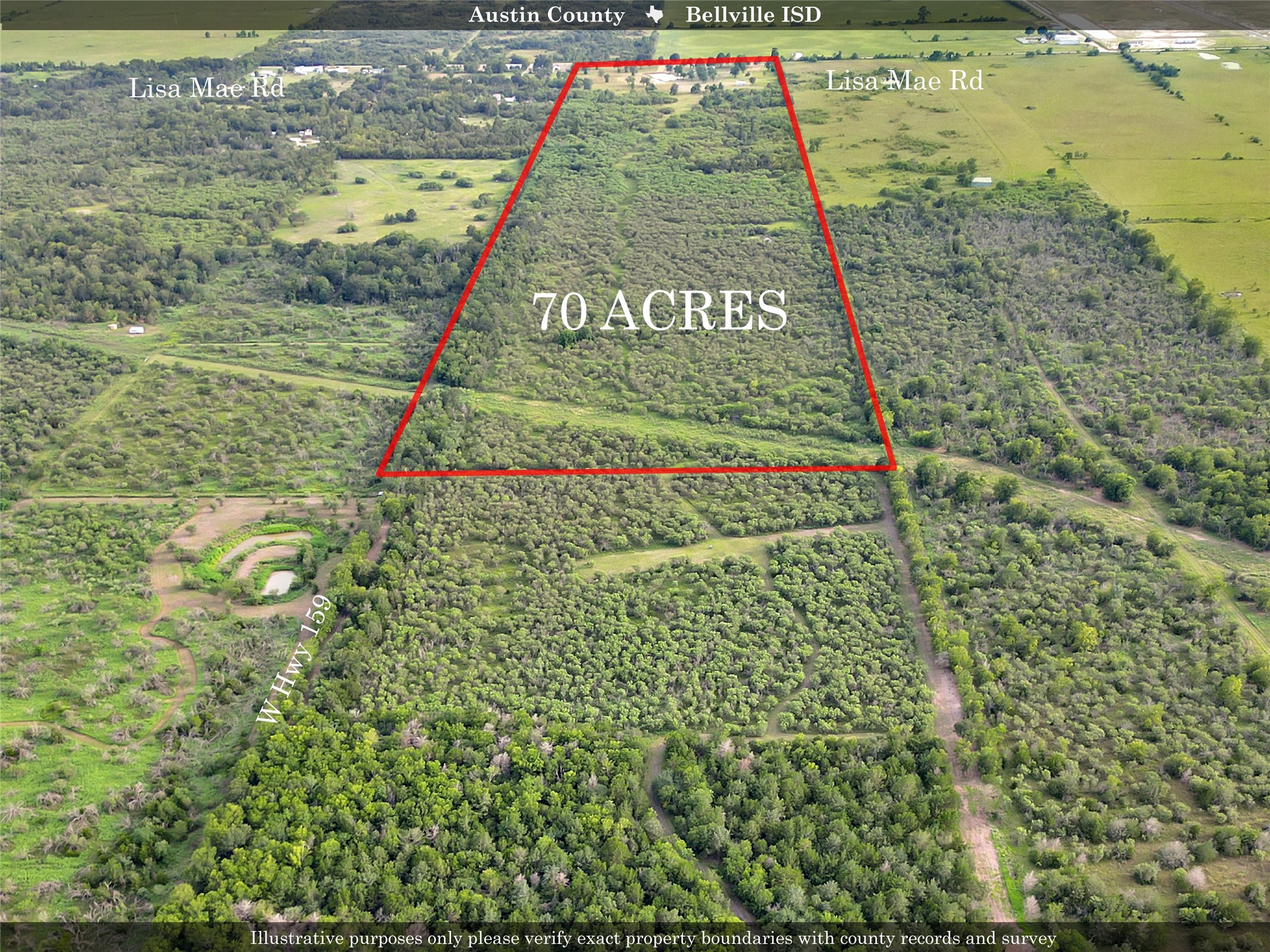 868 Lisa May Road Bellville, TX 77418 - Photo 38 of 39 Back view showcasing dense wooded areas, providing privacy and a natural retreat.