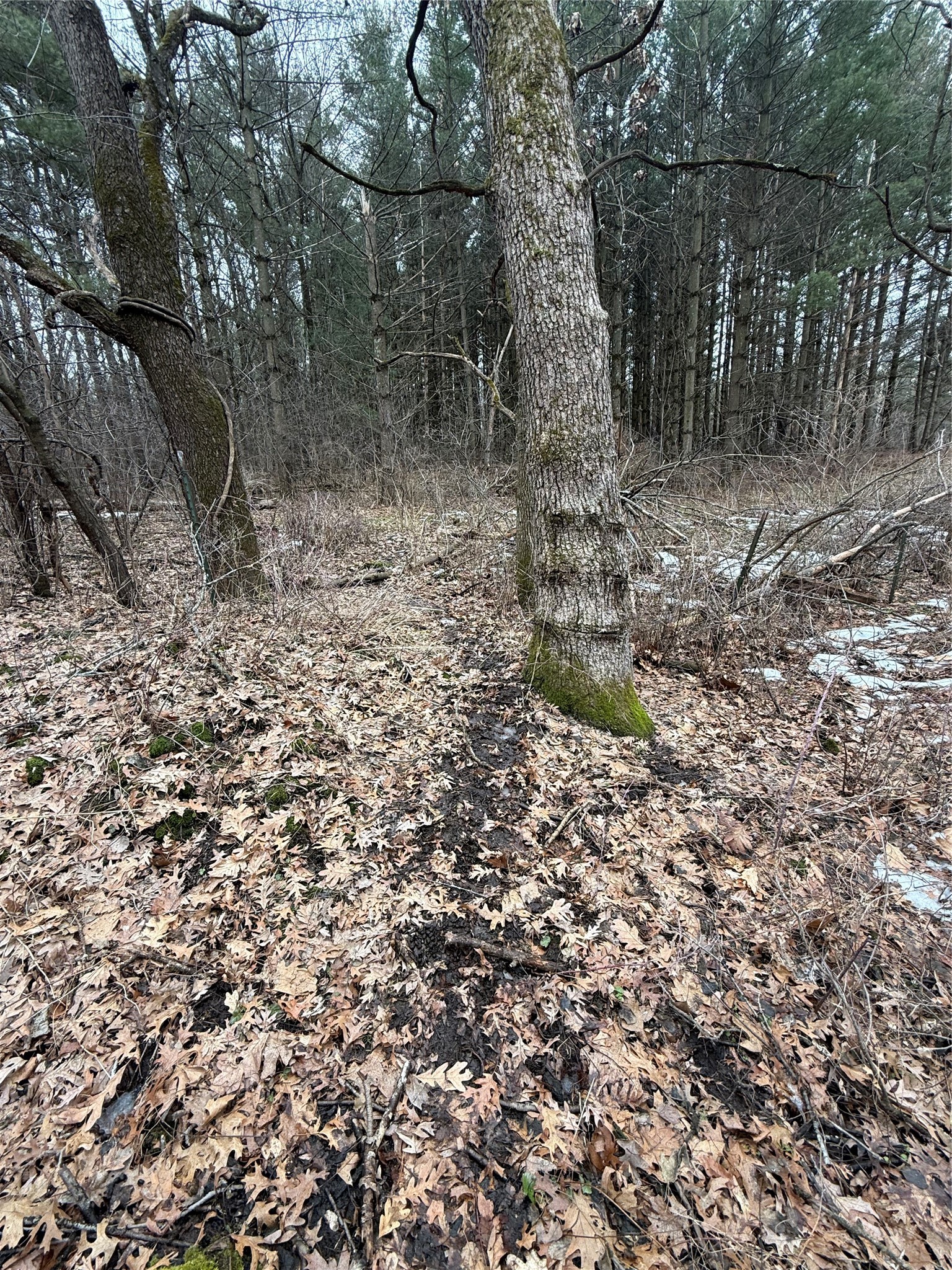 890 Independence Road Independence, WI 54747 - Photo 29 of 34