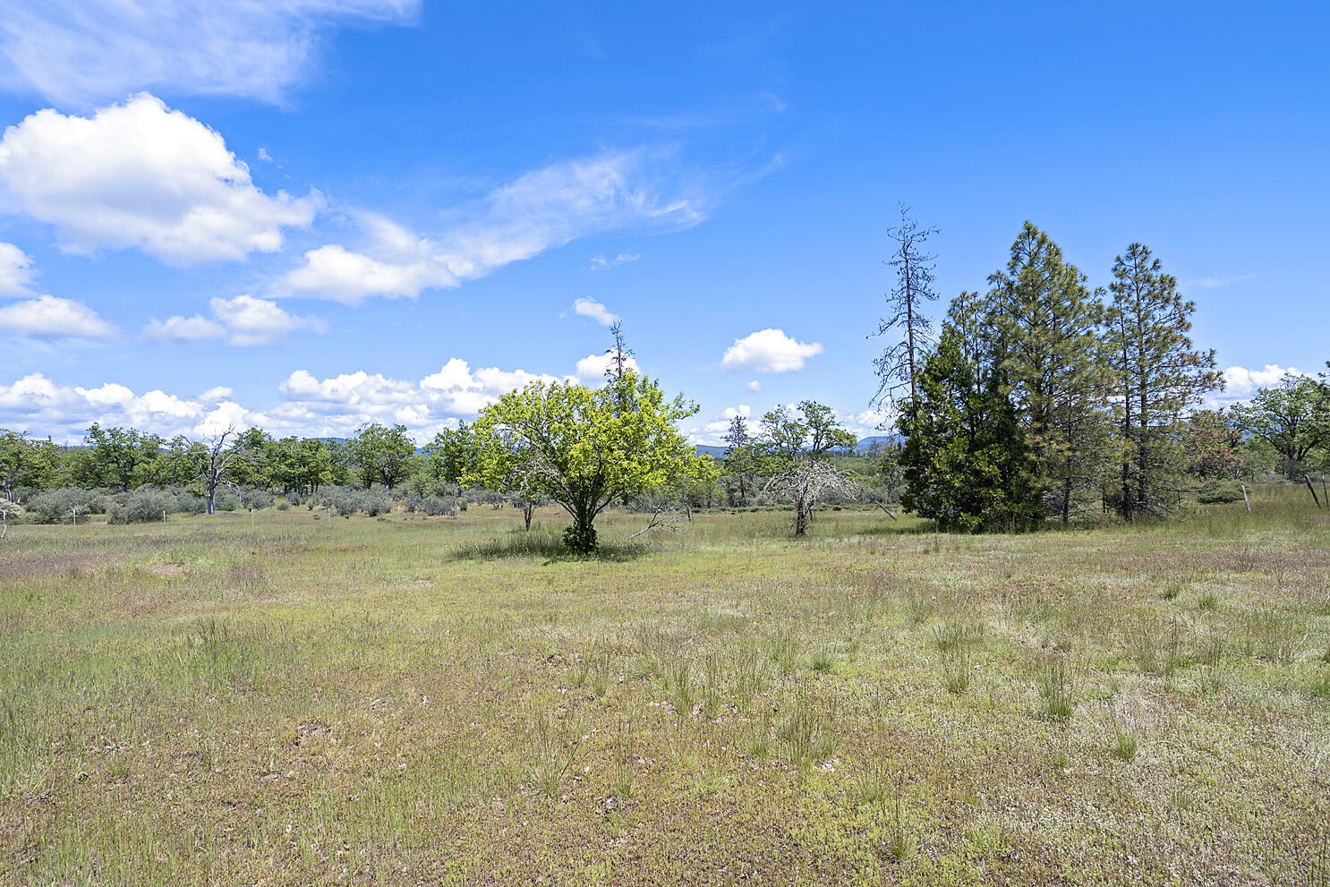 13084 Perry Road White City, OR 97503 - Photo 11 of 22 Perry Rd_022 copy