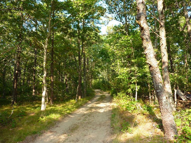 5 Lucy Vincent Road Chilmark, MA 02535 - Photo 7 of 17 Additional Photo