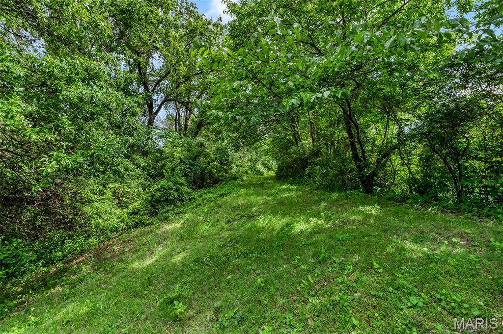 6137 Floraville Road Millstadt, IL 62260 - Photo 64 of 87