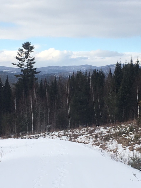 1 Morel Road Lancaster, NH 03584 - Photo 11 of 14