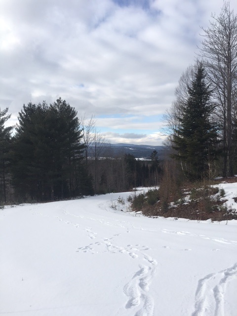 1 Morel Road Lancaster, NH 03584 - Photo 13 of 14