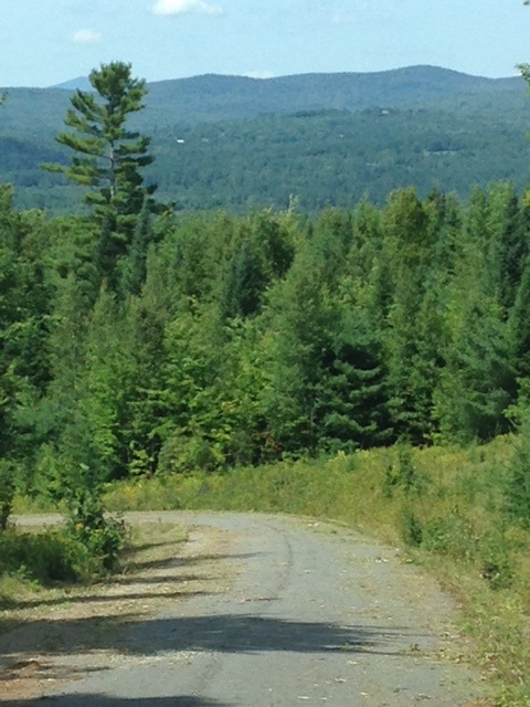 1 Morel Road Lancaster, NH 03584 - Photo 6 of 14