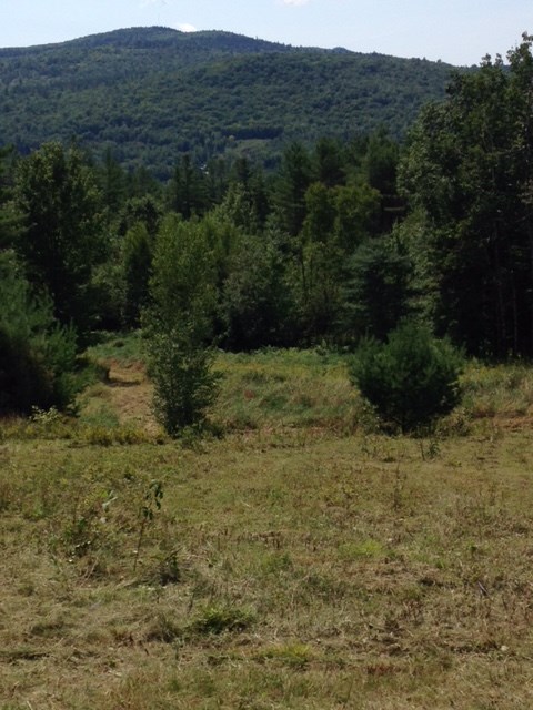 1 Morel Road Lancaster, NH 03584 - Photo 7 of 14