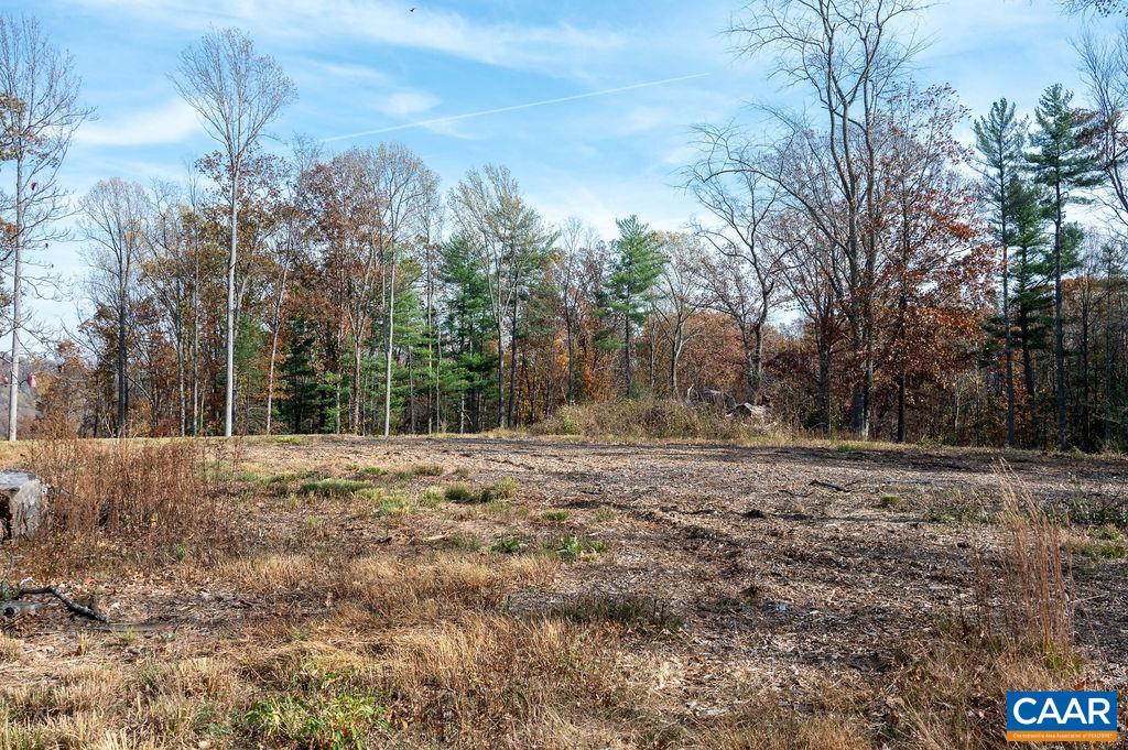 Tbd Red Hill Road Charlottesville, VA 22903 - Photo 20 of 50 a view of a yard with a tree