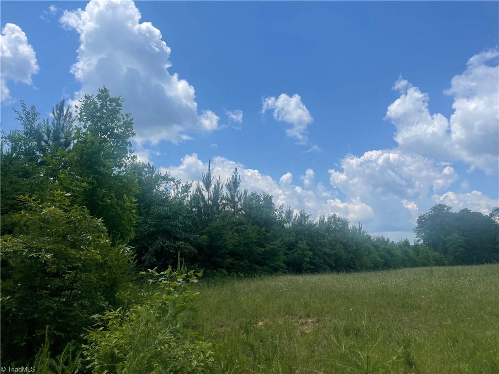 0 Bethesda Church Road Madison, NC 27025 - Photo 1 of 19