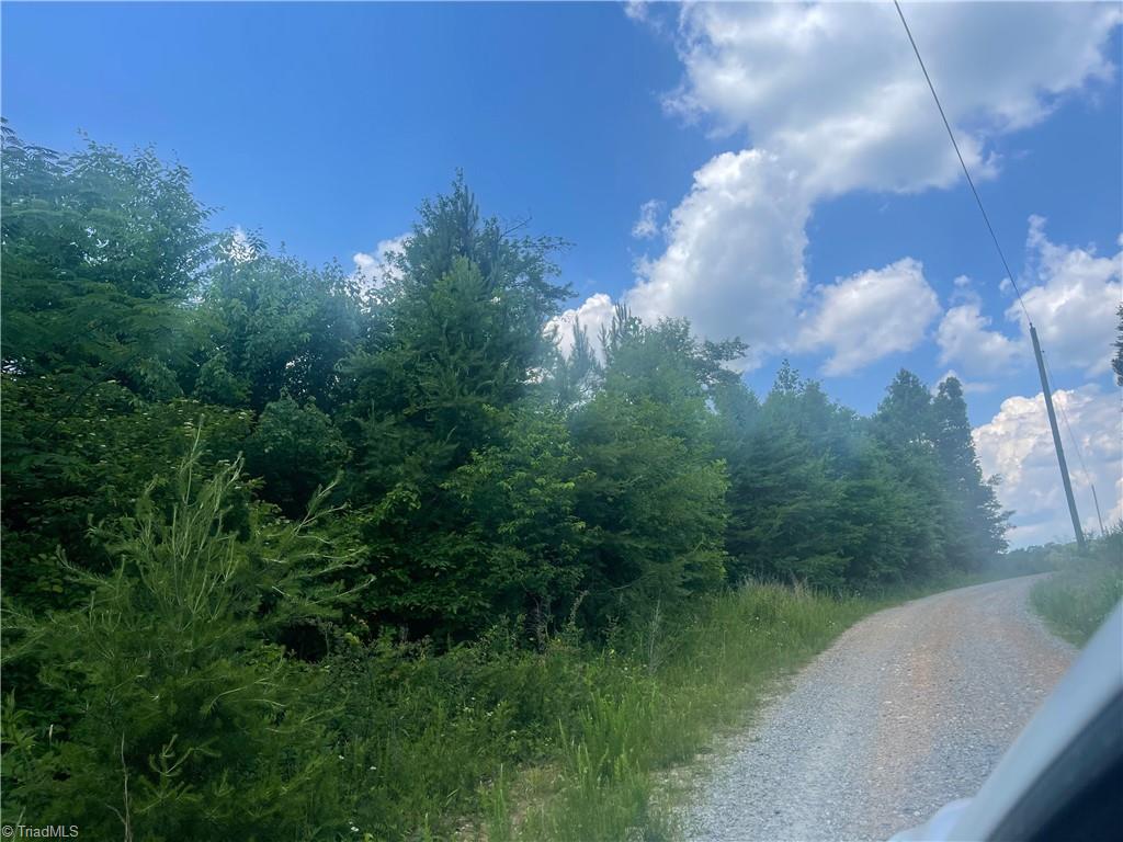 0 Bethesda Church Road Madison, NC 27025 - Photo 12 of 19