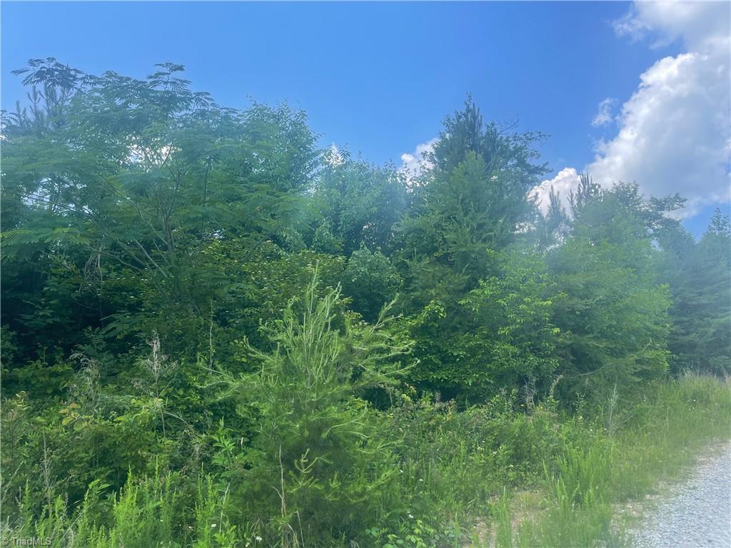 0 Bethesda Church Road Madison, NC 27025 - Photo 13 of 19