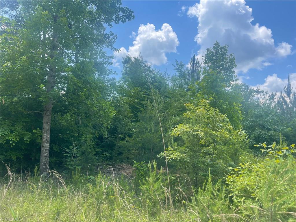 0 Bethesda Church Road Madison, NC 27025 - Photo 15 of 19