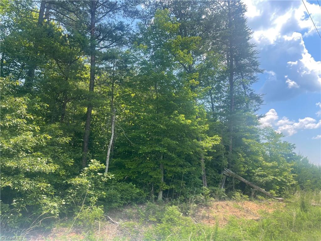 0 Bethesda Church Road Madison, NC 27025 - Photo 16 of 19